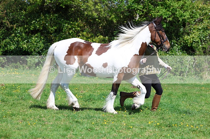 3E7A0299 - Class 19: Best Coloured in Hand