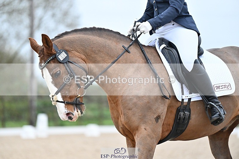 241103-153342-03153 - Novice 1 - 14.44 to 16.08