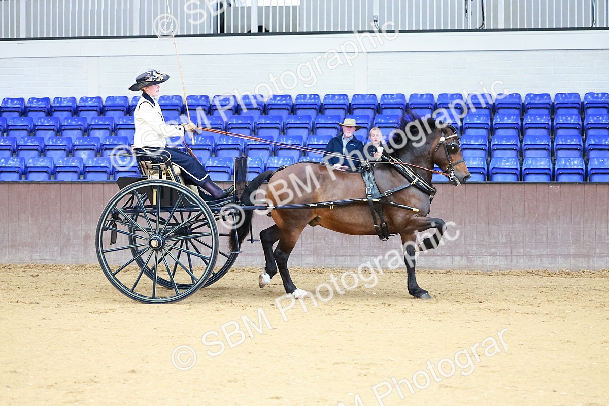 SBM_000176 - Class 3 - Alison Thomas Memorial Lady Whip