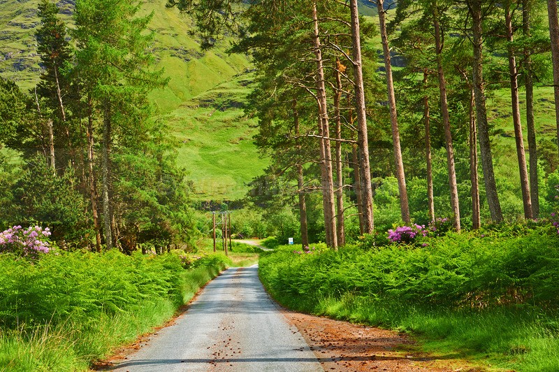 0624_47 - Scotland