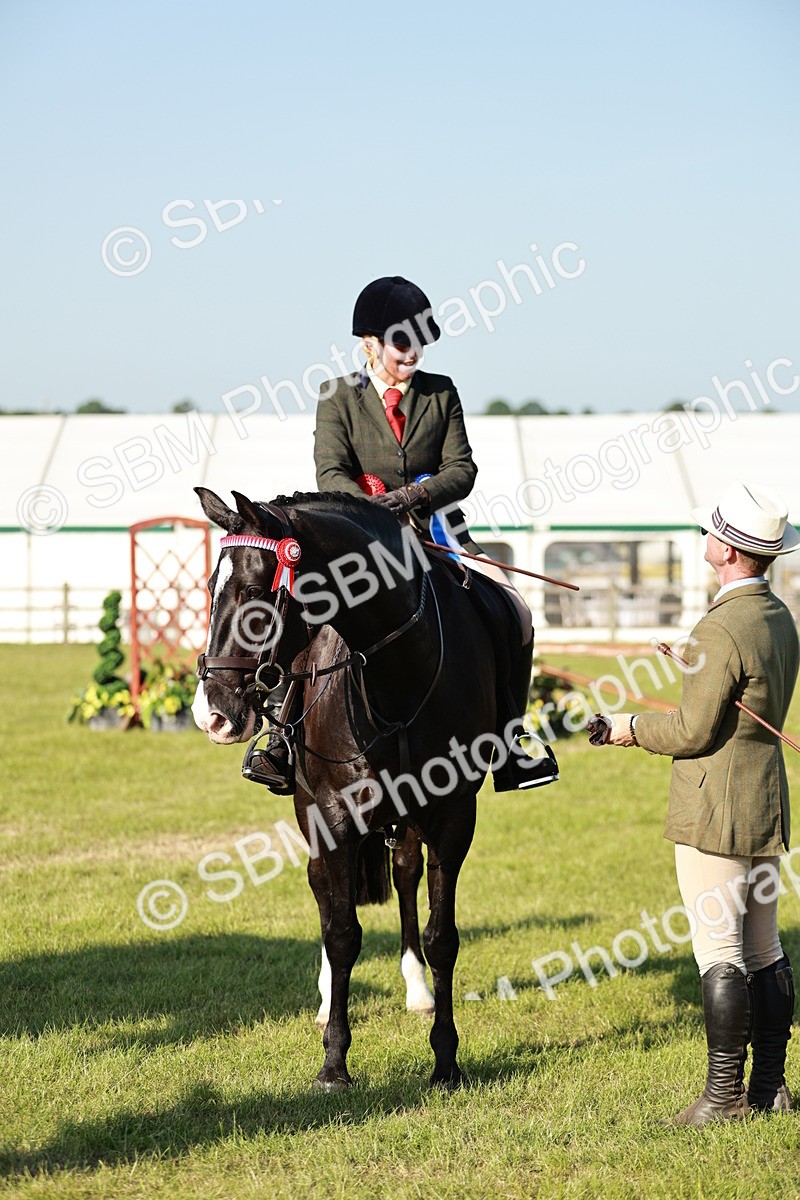 SBM_20128 - Class 115-116 - LIHS BSHA Rising Star Working Hunter & Show Horse