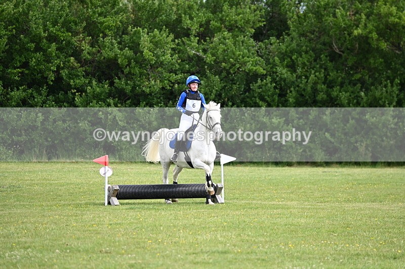 WJ6_2343 - Class 2 40cm