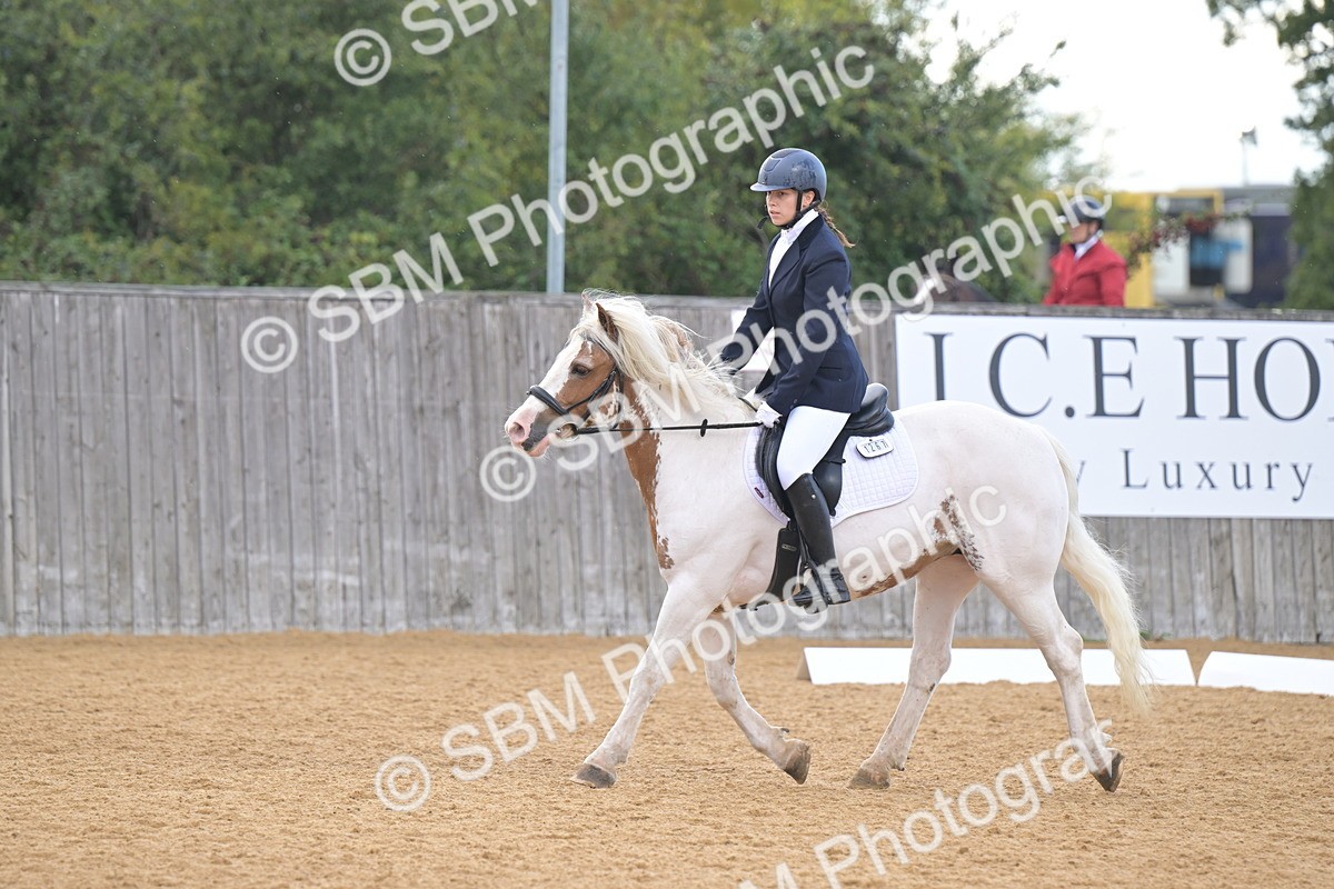 SBM_11213 - D3 - Small Tour Championship Intro 3