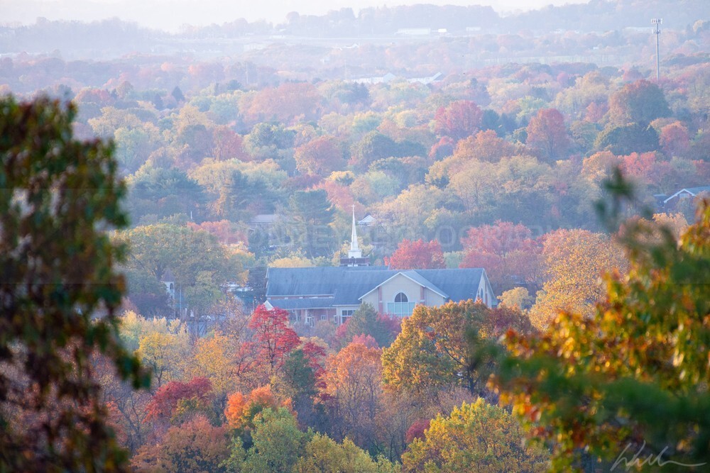 DSC_2105 - Autumn
