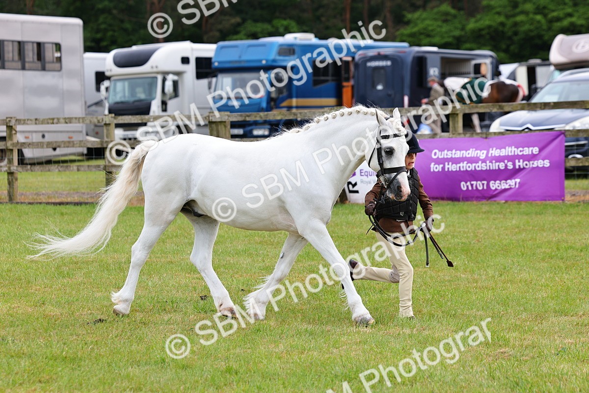 SBM_09559 - Class 44-45 - LIHS BSPS Open Nursery and Cradle Stakes
