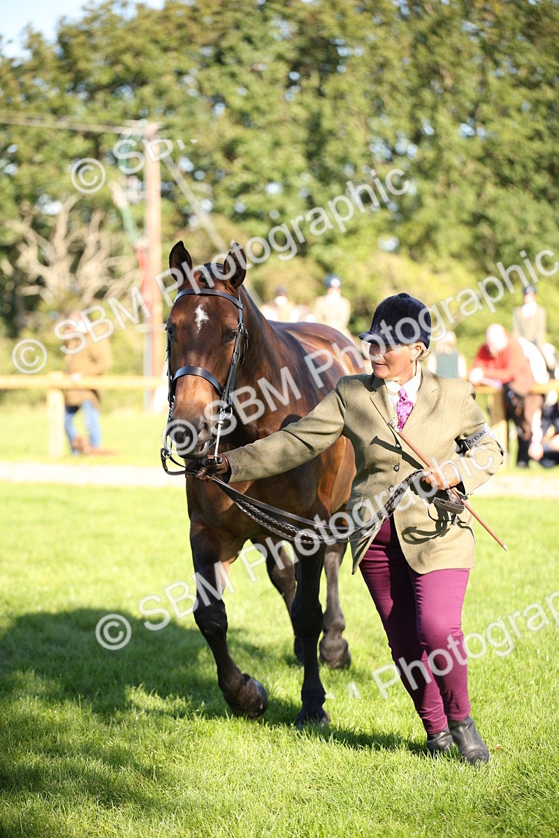 SBM_36582 - S10 - Best In Hand Horse & Pony