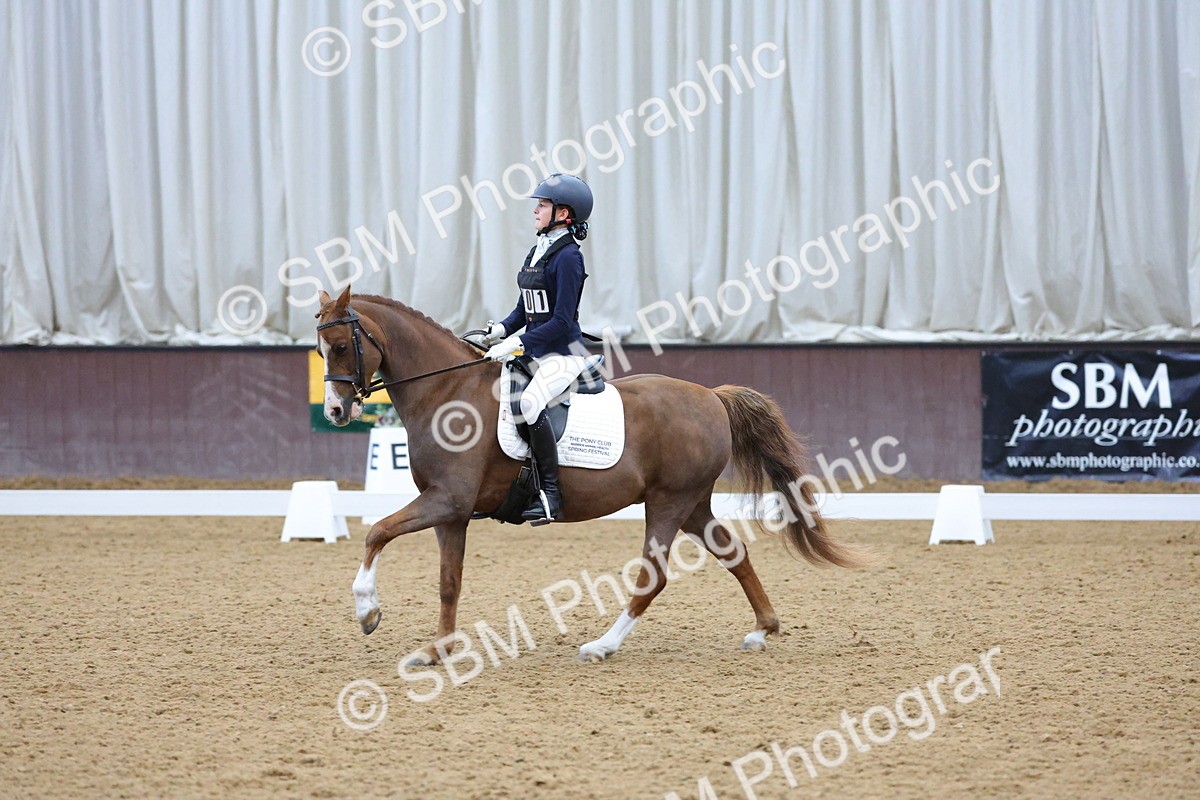 SBM_003675 - Novice