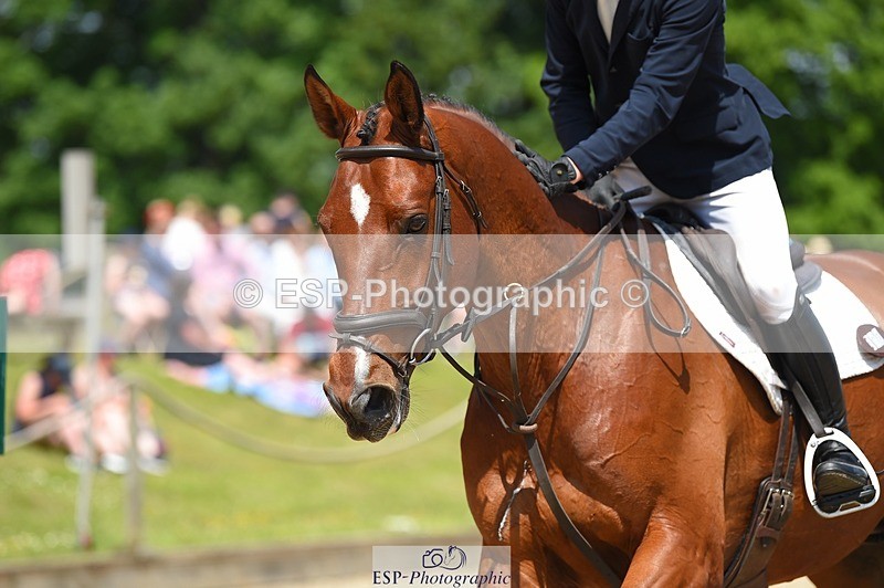 230528-121326-15594 - 318-JUST_HAVE_FAITH_TN-Alfie_Marshall-SUNTrotUp+SJ