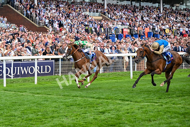 220826-Race 4-Daiquiri Bay-0443 - Race 4 15.35pm Sky Bet Ebor Handicap
