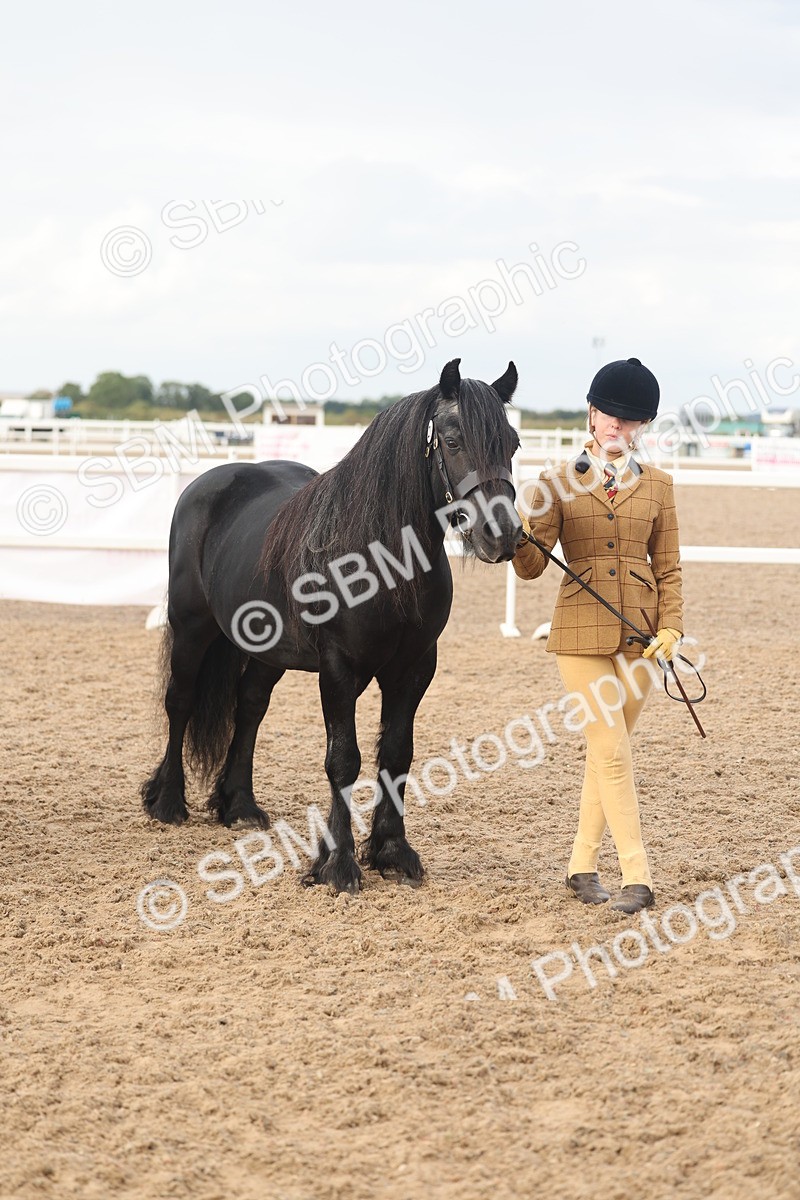 SBM_08572 - Class 29 - IH Veteran Pony