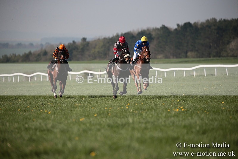 PtP 210418 519 - South & West Wilts Point-to-Point Larkhill 21/04/18