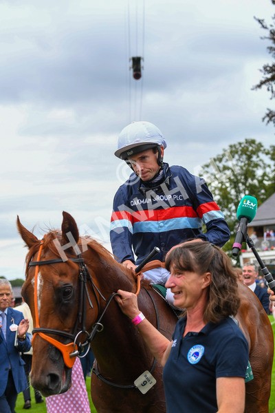 240823-Race 2-Dragon Leader-0283 - Race 2 2.25pm Goffs UK Harry Beeby Premier Yearling Stakes