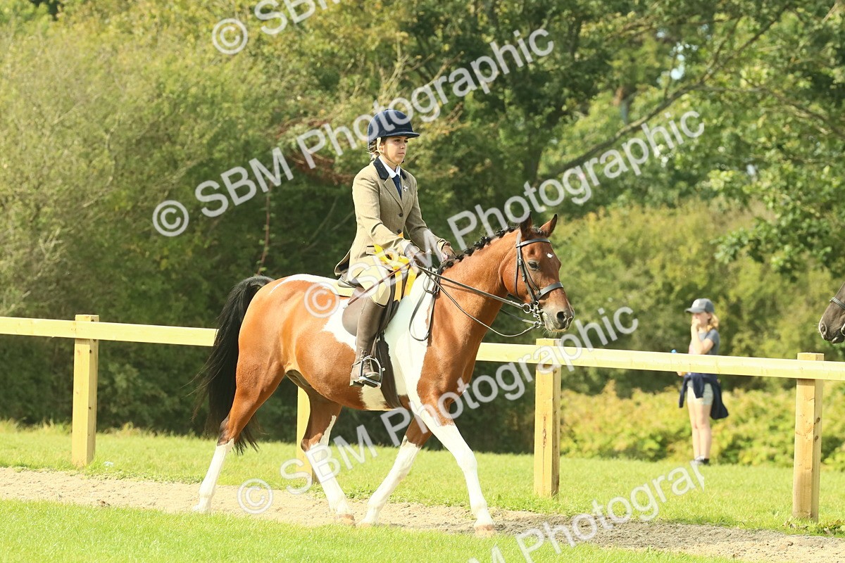 SBM_69002 - S58 - Mini Show Cob Ridden