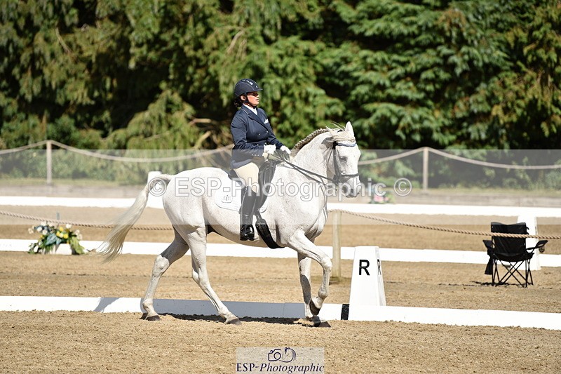 140110A-051610-12428 - 161-Alison.Zuend-Il.Danubio