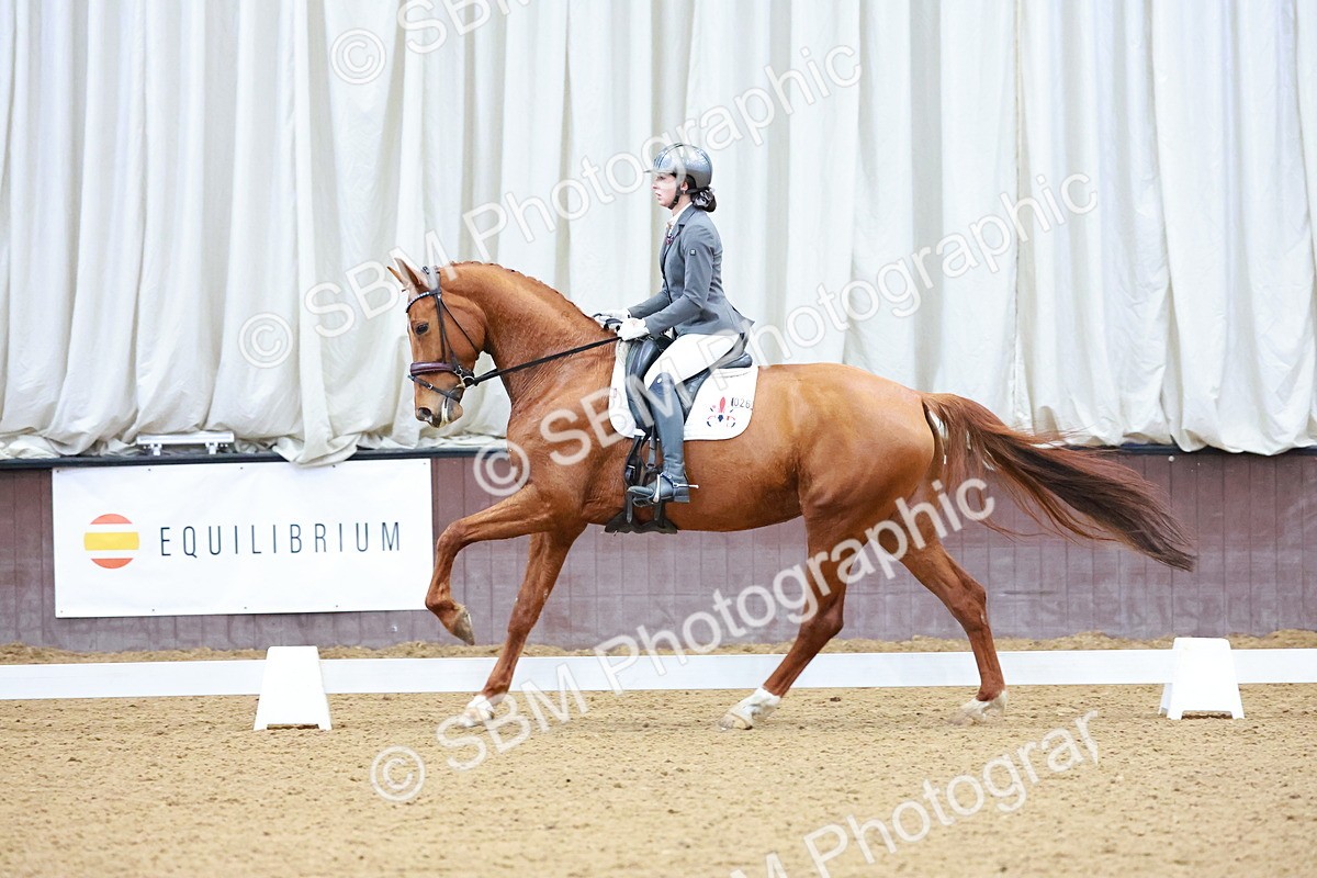 SBM_003476 - Class 5 - N6