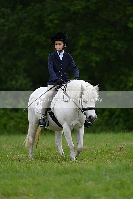 WJ7_4401 - Class 14B Prettiest Mare