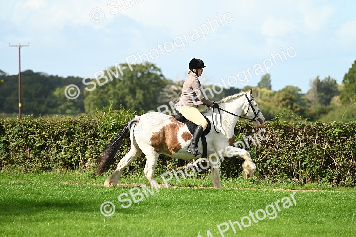 SBM_01857 - S2 - TSR Ridden Horse Showing