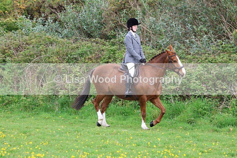 3E7A1407 - Class 8: Ridden Veteran Junoir and Senior