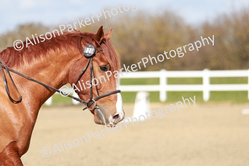 20260314-2931 - DR3 - Prelim 1