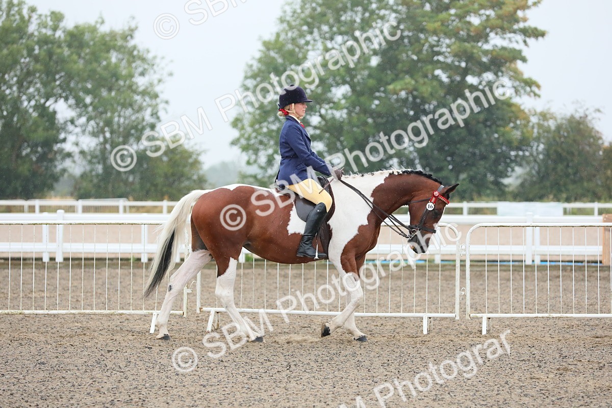 SBM_19843 - Class 801 - Ridden Veteran