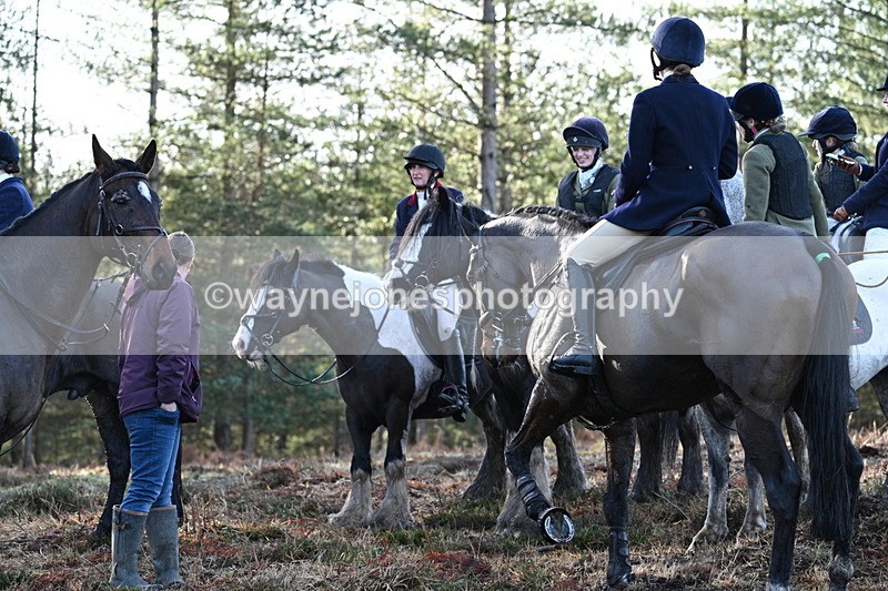 WJ7_7463 - Line 3 (no line 4 or 5)