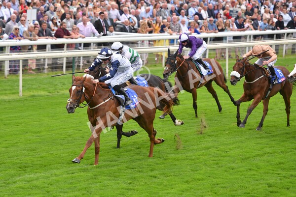 yr19082021r1-36 - Race 1 1.50pm Sky Bet Lowther Stakes