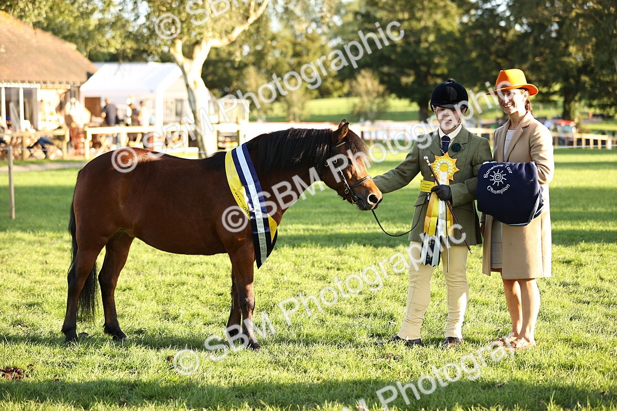 SBM_30135 - Novice & Newcomers Supreme Championship