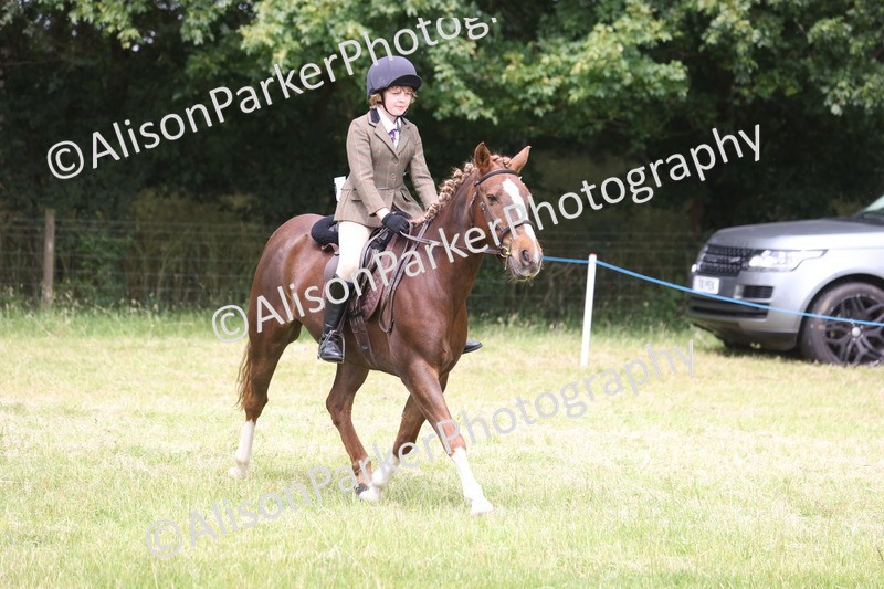20260614-3232 - Class 22 - Open Working Hunter
