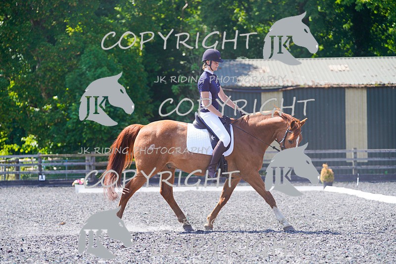_DSC4198 - ELEM 1