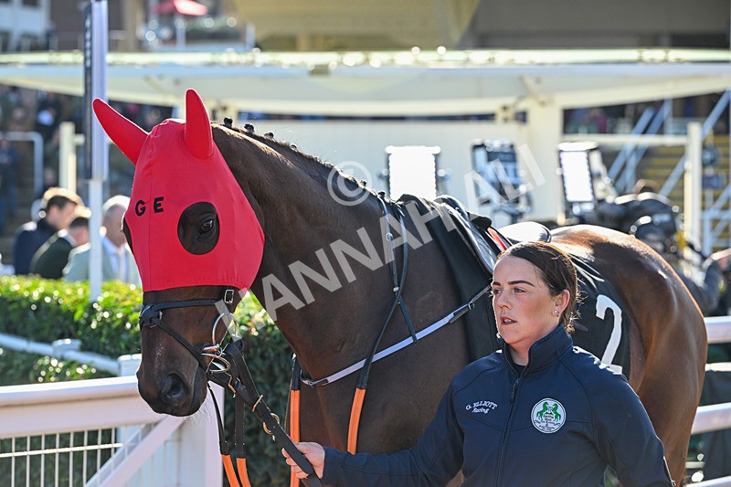 241025-Race 2-King Of Kingsfield-2443 - Race 2