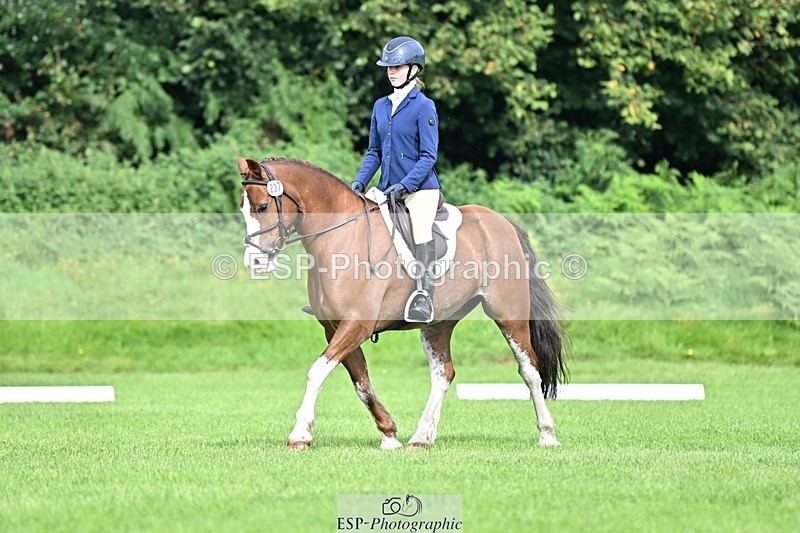 230826-100343-16343 - Sections A & B 10 to End