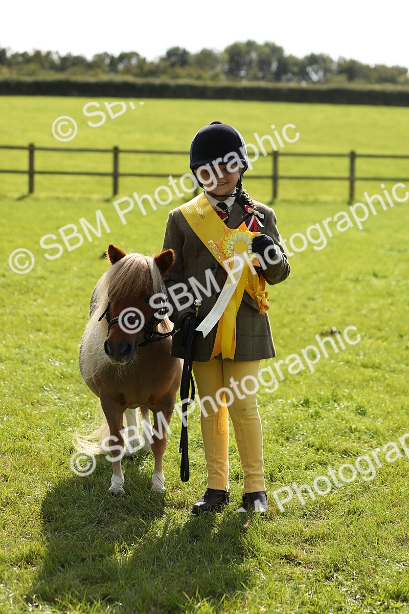 SBM_67849 - S39 - Junior Handler 8  Years & Under