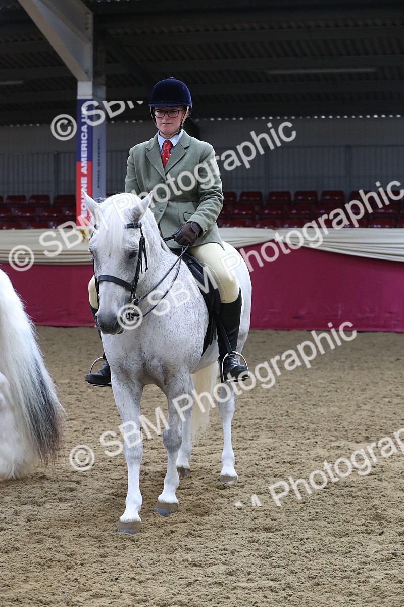 SBM_10460 - Class 102 Equitation (best rider) Adult