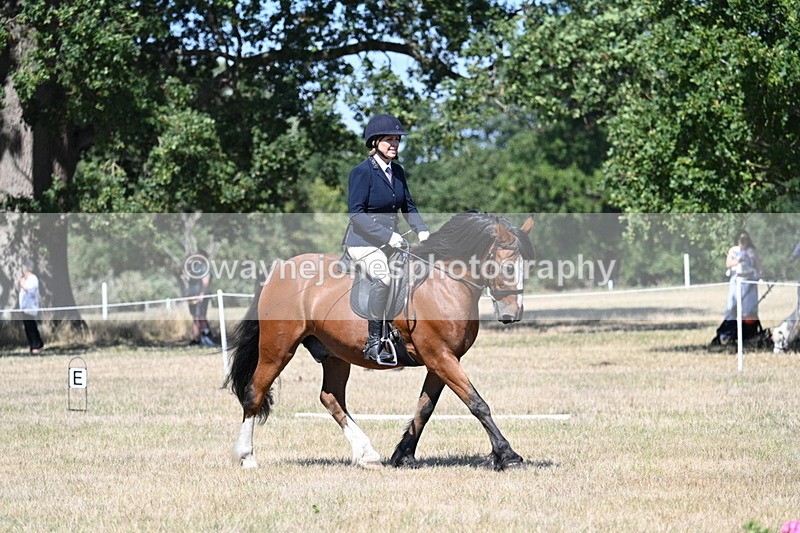 WJ7_0714 - Time 12:03 to 12:23