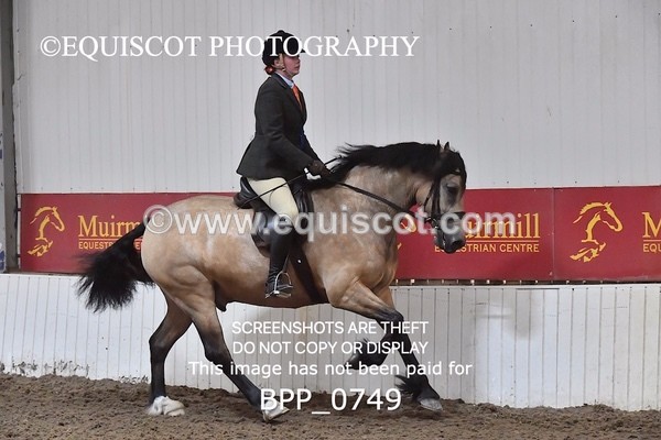 BPP_0749 - RING 2