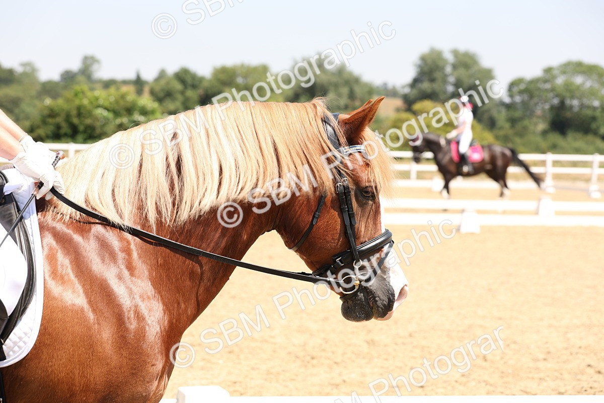 SBM_004328 - Prelim 4 - 11.30-12.47