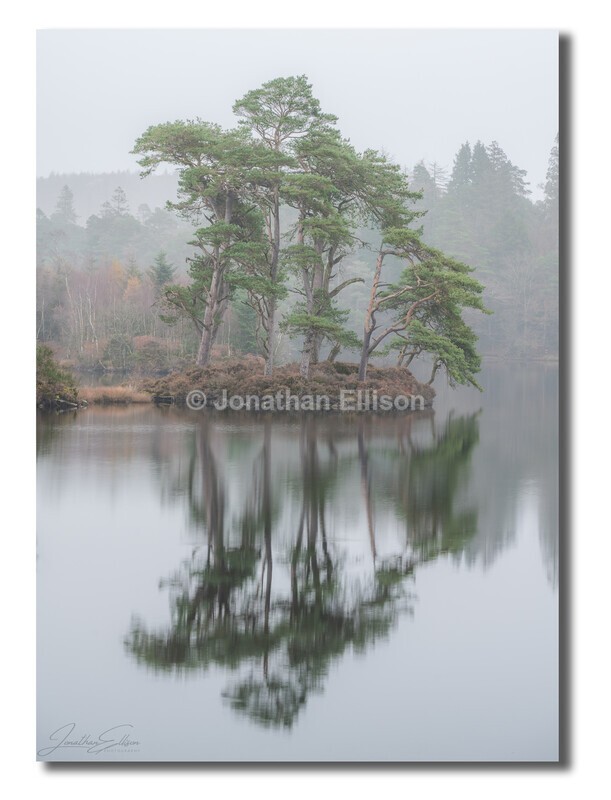 Tarn Hows - Lake District