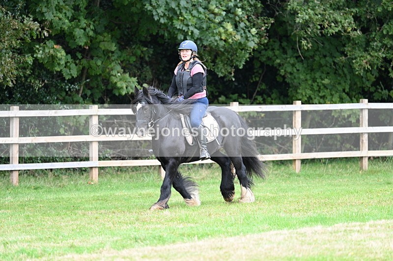 WJ7_7878 - 40cm Time 10:49 to 11:18