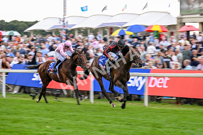 190826-Race 3-Maltese Cross-1069 - Race 3 15.00pm Sky Bet Great Voltigeur Stakes
