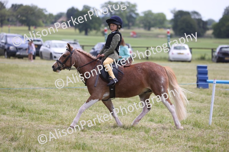 20260614-2056 - Class 21 - Novice Working Hunter Pony