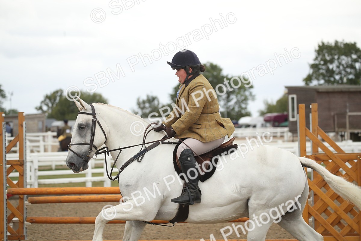 SBM_18449 - Class 510a - Working Veteran 90cm (15-19)