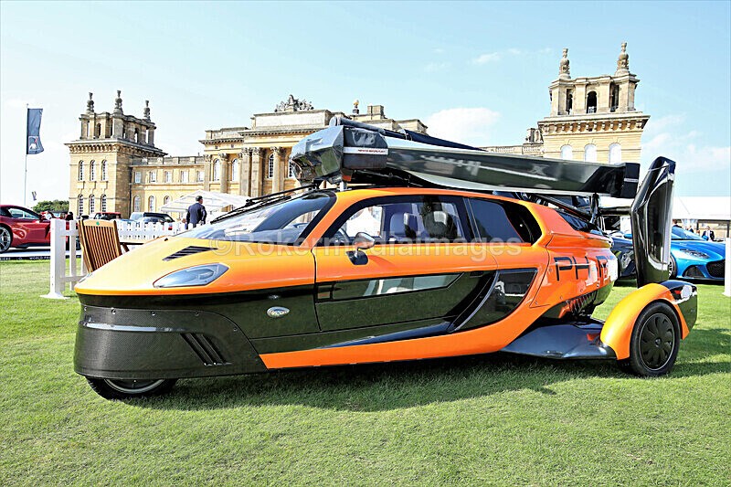 Pete Wilson Salon Prive-147 - Salon Prive SEPT 2020