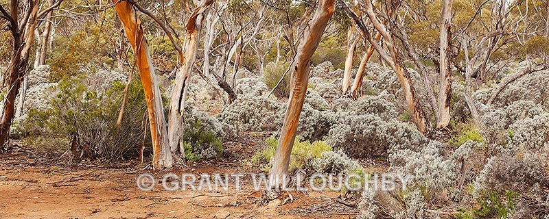  - Australia