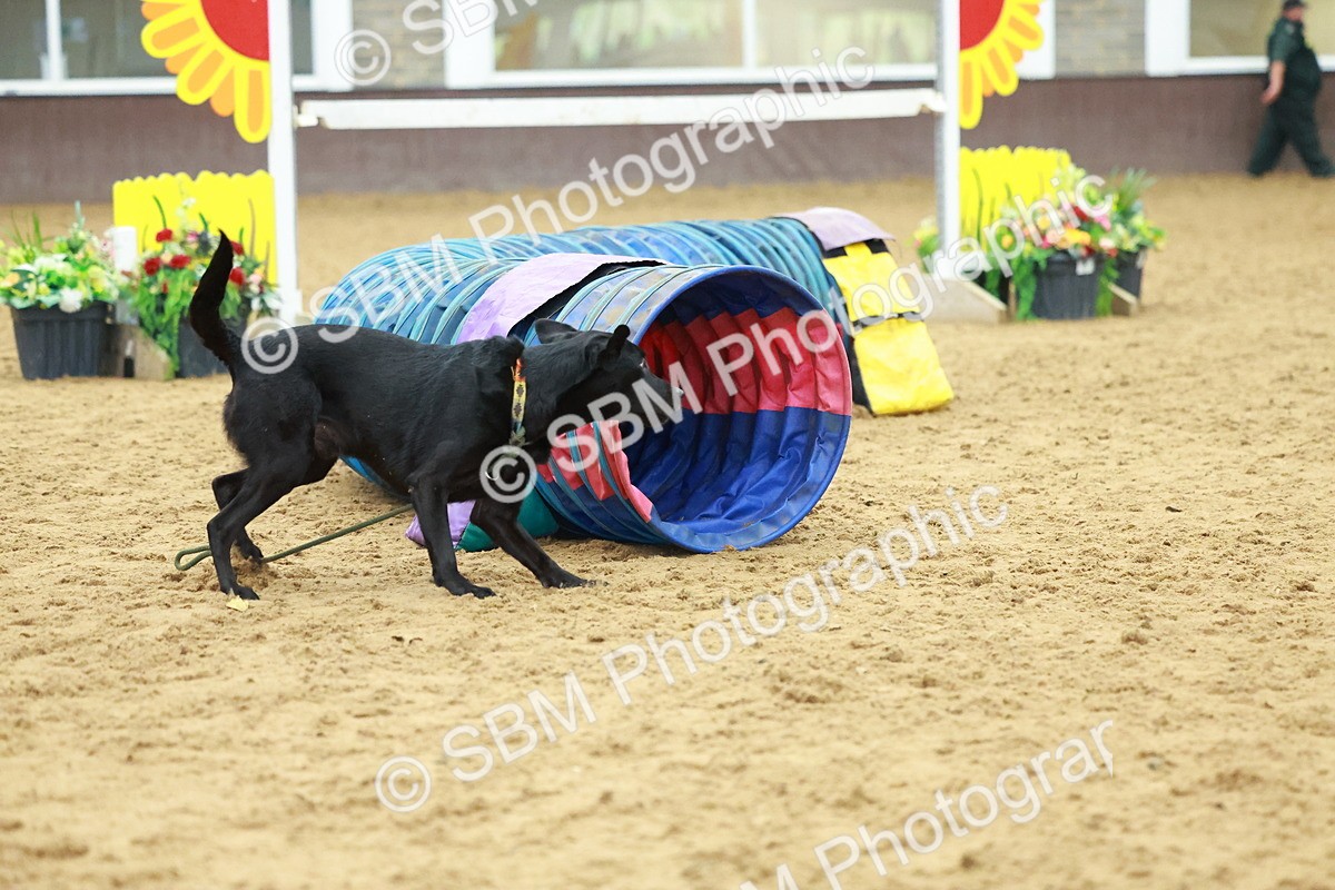 SBM_002570 - Class 3 - Horse & Hound (60cm)