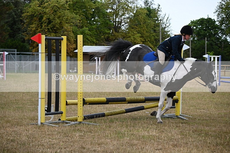 WJ6_9959 - Class 13 Novice Jumping 60cm