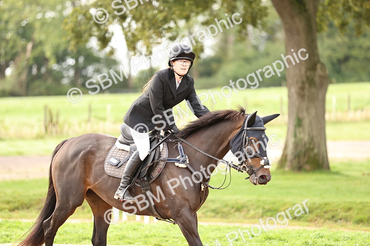SBM_58462 - J41 - Grand Tour Horse & Pony 95cm