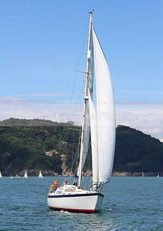 140729 SCOT FREE GBR1443T WT7A1821 - 140729 SCOT FREE GBR1443T