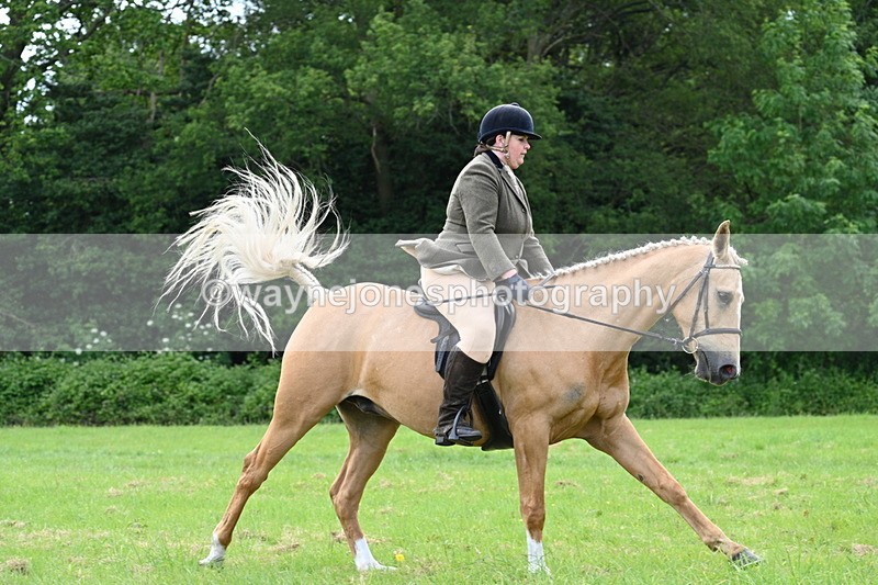 WJ7_2515 - Class 12A Coloured Class