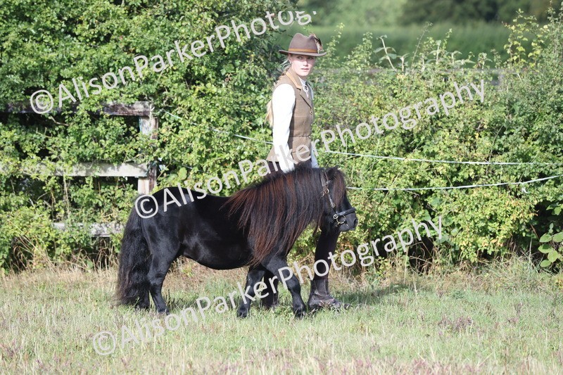 20250831-1302 - Class 21 - Inhand Open