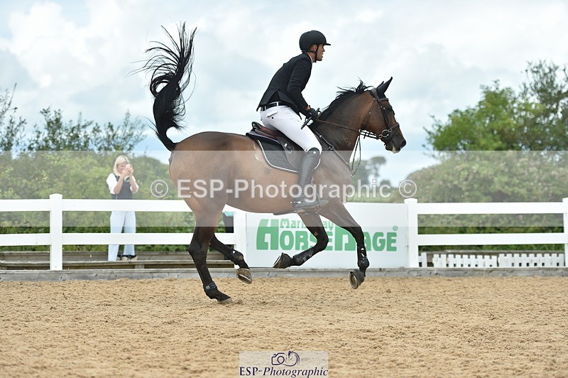 230723A-131752-12031 - Cls 24, 1 Star Gold 1.30m